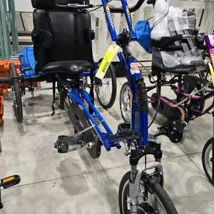 Freedom Concepts electric adult adaptive tricycle. Features a blue frame, 3-wheel design, high-back padded seat with lateral supports and harness, and