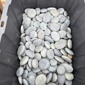 Mexican Beach Pebbles