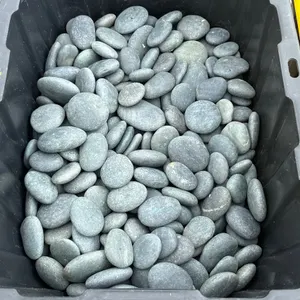 Mexican Beach Pebbles