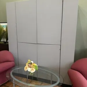 (TX) Large Egan Visual Cabinet