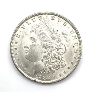 1882 Morgan Dollar