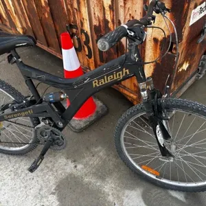 Raleigh Serengeti Mountain Bike