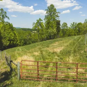Recreational Land for Sale in Rocky Mount, VA!
