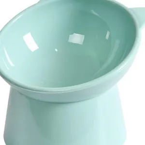 Tilted Elevated Cat Bowl
