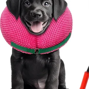 Inflatable Recovery Collar w Pump