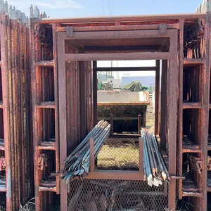 Safe Way Scaffolding on Carrying Cage