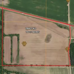 Tract #2 - 69.89 +/- Acres Hwy O/School Rd.