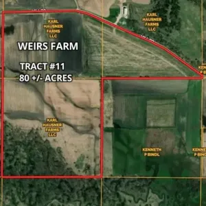 Tract #11 - 80.78 Acres Mill Rd.