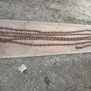 35' Log Chain