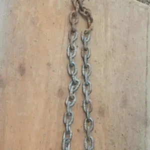 12' Long Log Chain