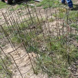 8 Cattle Panel Tomato Cages 2'T x 20" round