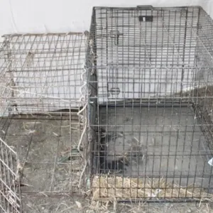 Wire Pet Kennel & icrate Pet Kennel
