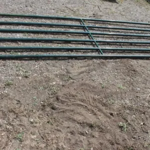12' x 4 1/2' Gate