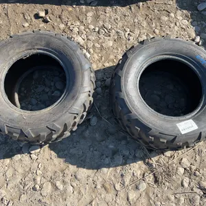2- AT25x10-12 Quad Tires