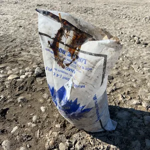 Bag Of Landscaping Rock