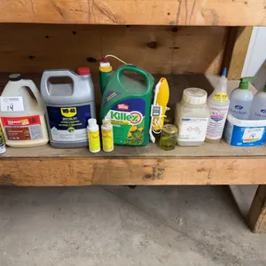 Assorted Chemicals & Shop Supplies – WD‑40, Glue, Cleaners & Lawn Treatment