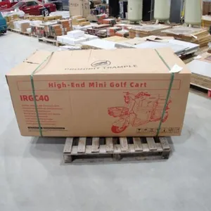 UNUSED 2026 SDLANCH IRGC40 Electric Tricycle