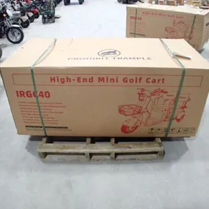 UNUSED 2026 SDLANCH IRGC40 Electric Tricycle