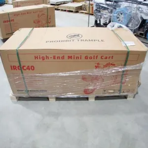 UNUSED 2026 SDLANCH IRGC40 Electric Tricycle
