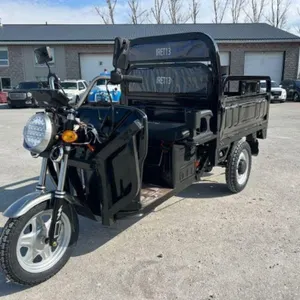 UNUSED 2026 SDLANCH IRET13 Electric Tricycle