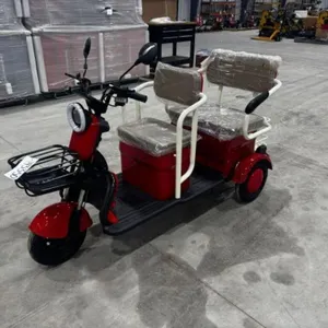 UNUSED 2026 SDLANCH IRGC40 Electric Tricycle
