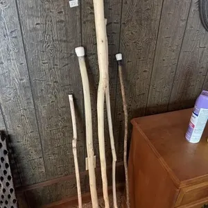 Walking Sticks (5 of them)