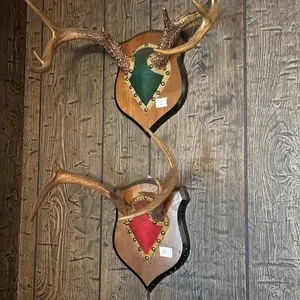 7 Points Deer Antlers