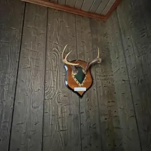 Deer Antlers 7 Pointer
