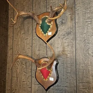 Deer Antlers 8 points
