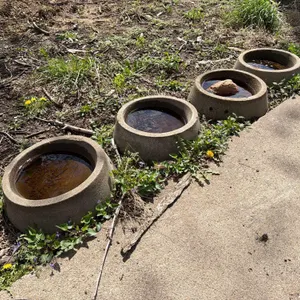 5-Round Cement Waters