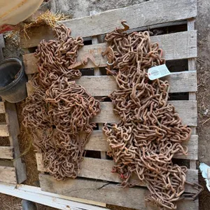 Pallet of Tire Chains