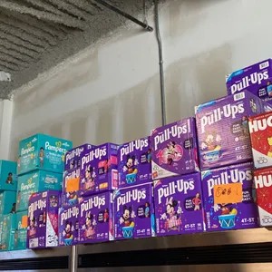 HUGE ASSORTMENT OF VARIOUS SIZED DIAPERS, PAPER TOWEL & TOILET PAPER