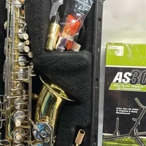 Selmer AS300 USA Saxophone With Stand