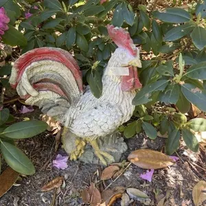 Concrete Rooster