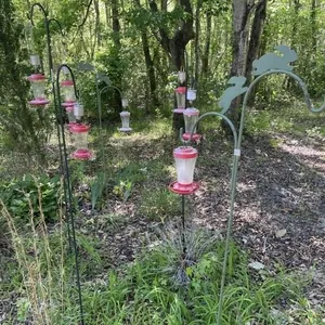 5 Shephard Hooks & Hummingbird Feeder