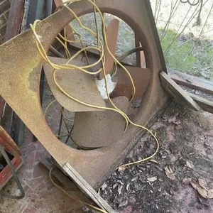 Old Fan