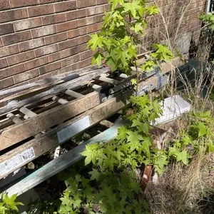 Two Extension Ladders (Werner)