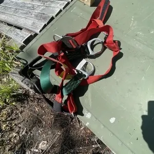 Harness