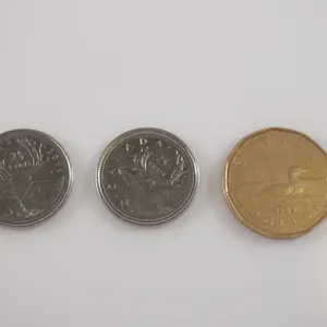 (3) Foreign Coins