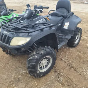 F - 2007 Arctic Cat 650