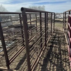 16ft Freestanding Panel w/ 8ft Gate