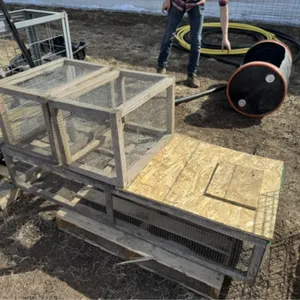 UNRESERVED FARM AUCTION FOR HENRY & TRUDY MARTENS