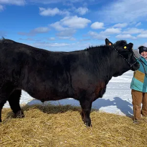 Quinn Fortin w/ Steer Buzz-Three Trails Home 4-H Club