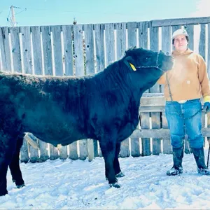 Cullen Chittick w/ Steer Pinky-Anselmo Willing Workers 4-H Multi Club