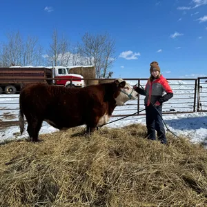 Adrainna w/ Steer Oscar-Three Trails Home 4-H Club