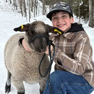 Lac Ste Anne District 4-H Clubs Beef, Sheep & Swine Achievement Day Sale 2026