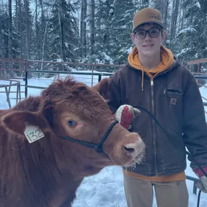 Liam Hagman w/ Steer Rusty-Anselmo Willing Workers 4-H Multi Club