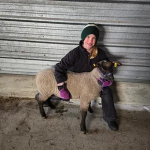 Allie Nelson w/ Sheep Blair-Anselmo Willing Workers 4-H Multi Club