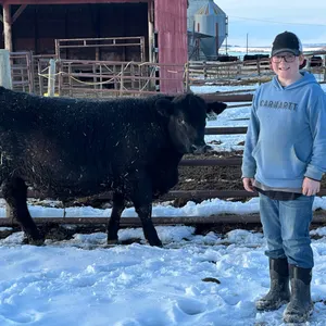 Gunner Benson w/ Steer Bandit-Anselmo Willing Workers 4-H Multi Club
