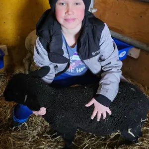 Nathan Pipke w/ Sheep Blackie-Cherhill 4H Multi Club